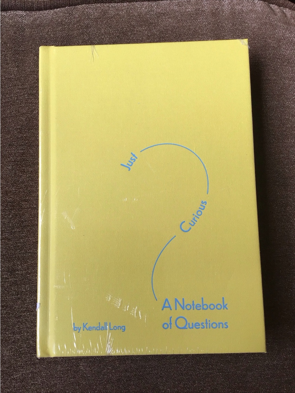 NEW Just Curious A Notebook of Questions Dating Relationships Book
